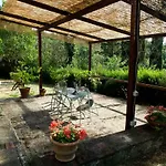 Antico Giuncheto 马焦内